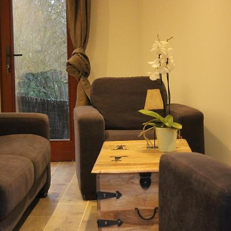 Maison Neuve En Bois Pres De Pairy Daisa Brugelette Exteriör bild